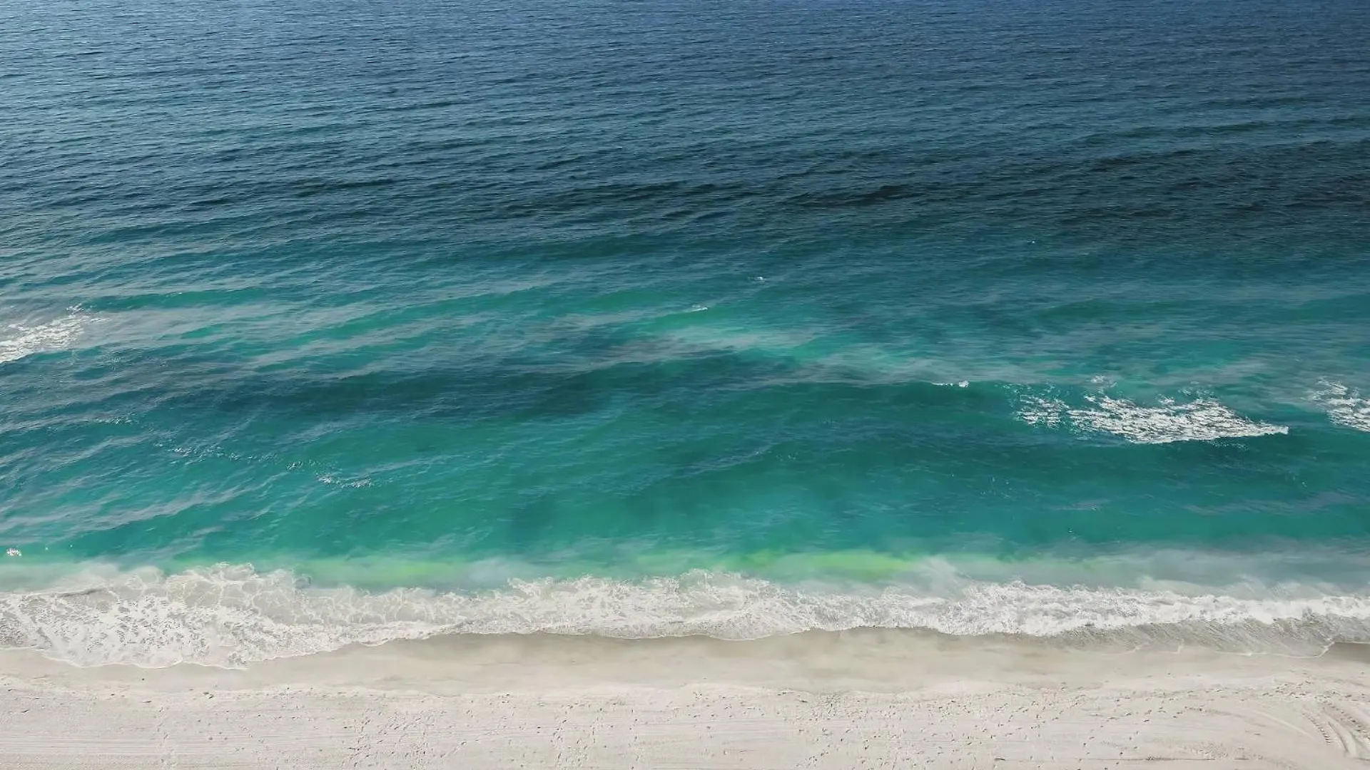 Pelican Gardens 7 By Lido Beach Sarasota